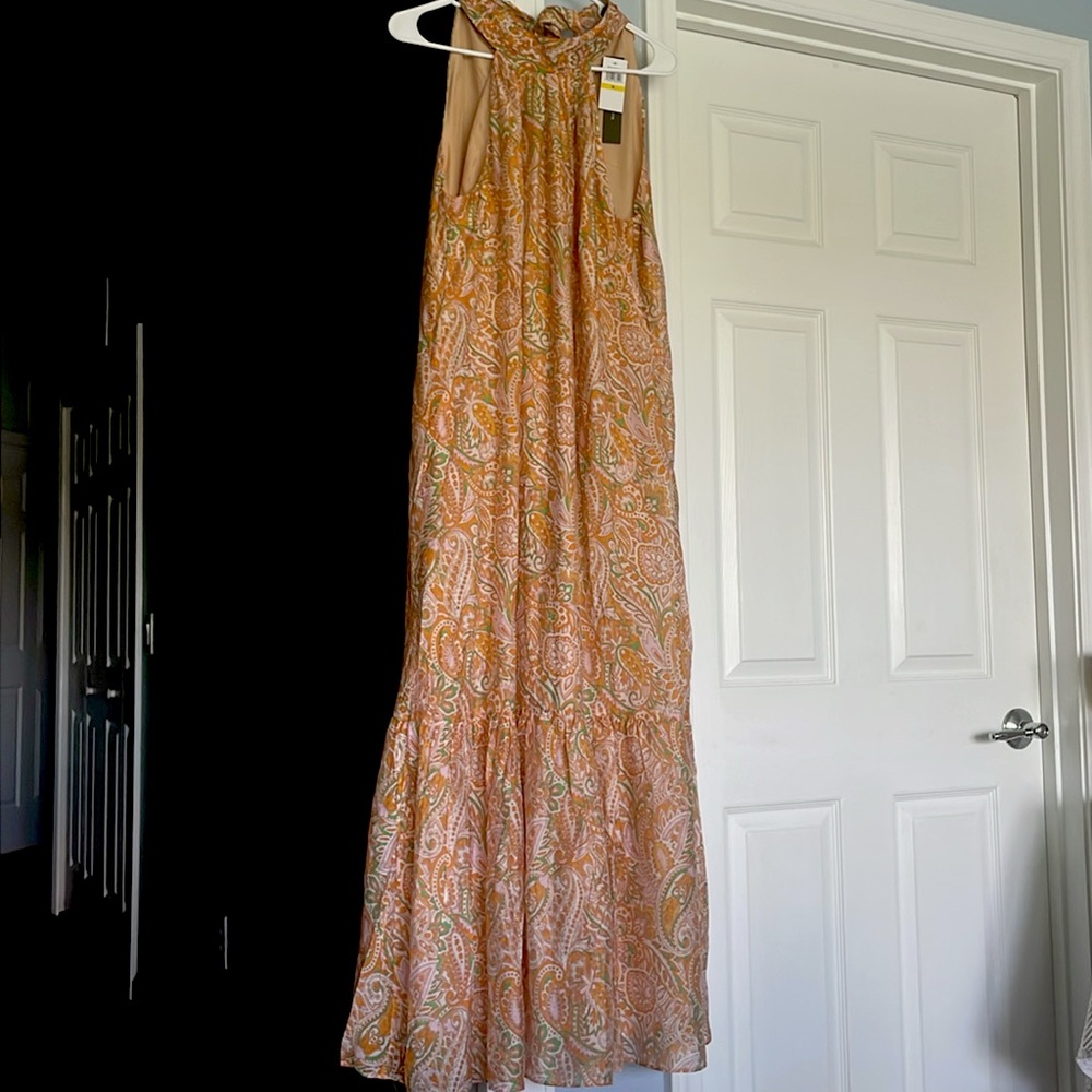 Cynthia Steffe maxi dress M